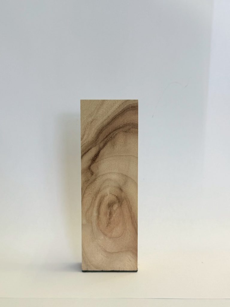 楠